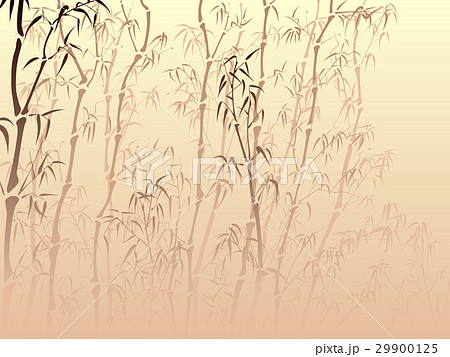 Background with many bamboo from mist. 29900125