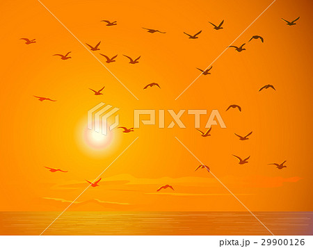 Flying birds against orange sunset. 29900126