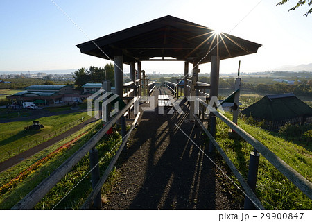 景色 風景 日本 29900847