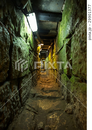 The Herodian road . The Herodian road . 29901377