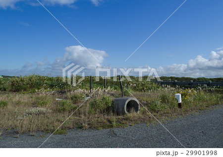 荒野の風景 29901998