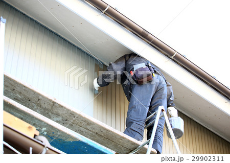 建築塗装足場養生工事 建築塗装足場養生工事 29902311
