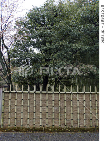 桂離宮　桂垣　杮葺 29902558