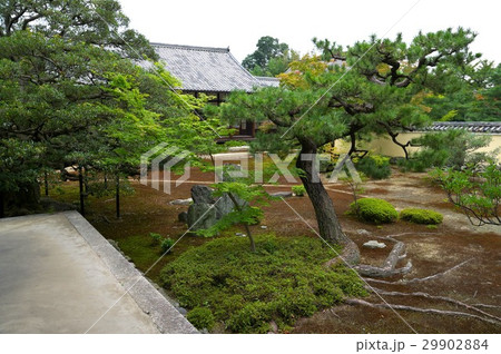 鹿王院 29902884