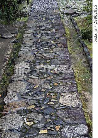 日本庭園　延段　草の延段 29902925