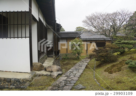桂離宮　日本庭園　延段　草の延段 29903109