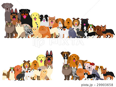 身長順に並んだ犬たちのボーダー 29903658