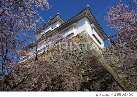 岡山県津山市の桜の名所「鶴山公園(津山城趾)」:備中櫓 岡山県津山市の桜の名所「鶴山公園(津山城趾)」:備中櫓 29903750