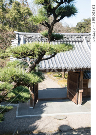 瑞応寺（ずいおうじ）　曹洞宗　愛媛県新居浜市山根町 29903831
