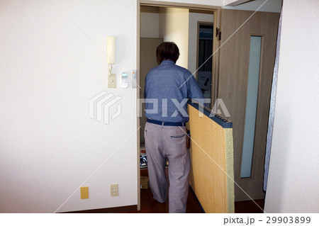 たたみ　畳 29903899