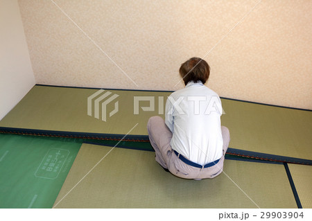 たたみ　畳 29903904