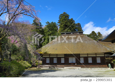 あきる野市の桜の名所「広徳寺」 あきる野市の桜の名所「広徳寺」 29905301