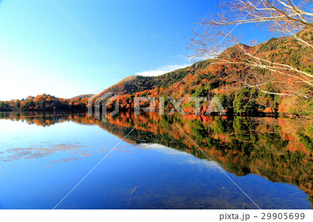 映り込む湯ノ湖の紅葉 映り込む湯ノ湖の紅葉 29905699