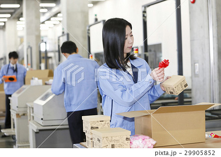 流通ビジネスイメージ　倉庫　工場　製造　運送　運輸　物流　梱包　検品　ラッピング　デコレーション 29905852