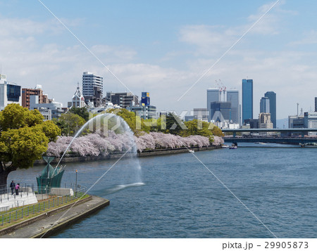 天神橋から剣先公園と満開の桜を見る 天神橋から剣先公園と満開の桜を見る 29905873
