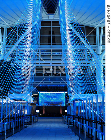 羽田空港国際線ターミナル イルミネーション / Haneda Airport 29907479