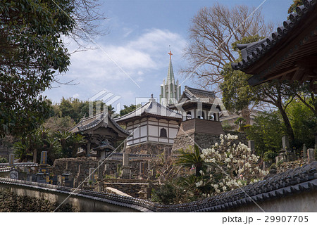 平戸　寺院と教会の見える風景 29907705