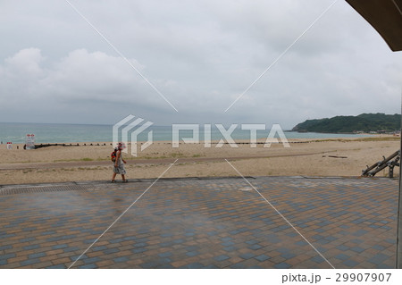 砂浜を散歩する少女 砂浜を散歩する少女 29907907