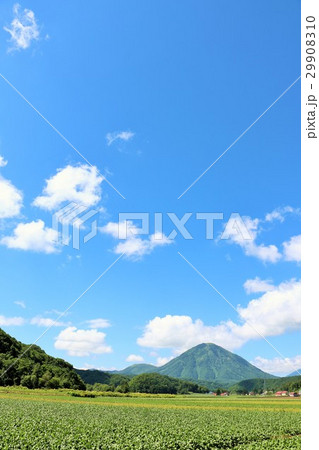 北海道　夏の青空と尻別岳 29908310