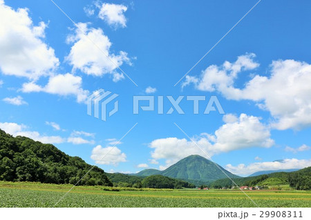 北海道　夏の青空と尻別岳 29908311