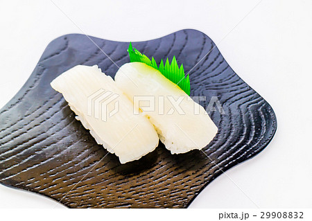 イカ　寿司 29908832