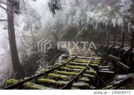 鉄路 線路 鉄道 29908975