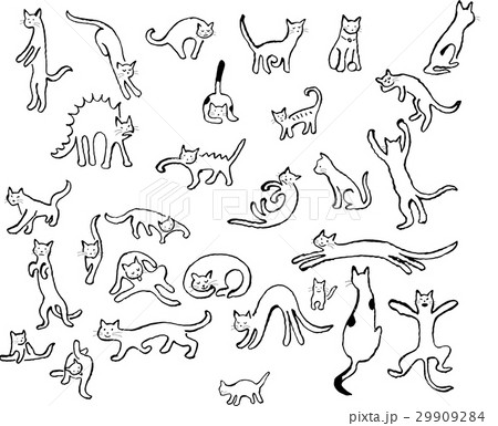 ねこ 29909284