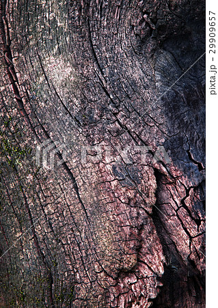 Abstract dark old wood texture Abstract dark old wood texture 29909657