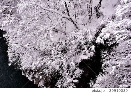 雪景色 雪景色 29910089