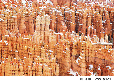 Bryce National Park in winter 29910424