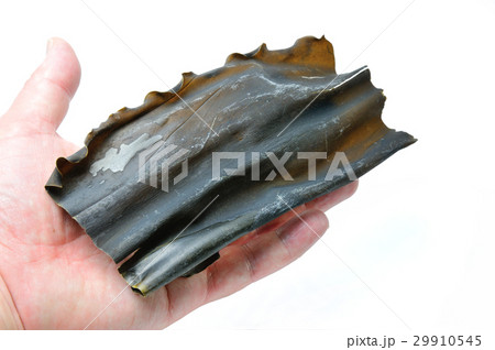 日高昆布 29910545