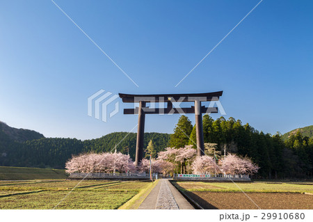 春の大斎原 春の大斎原 29910680