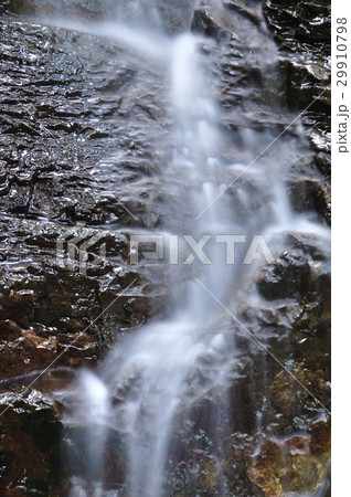 森の沢水 29910798