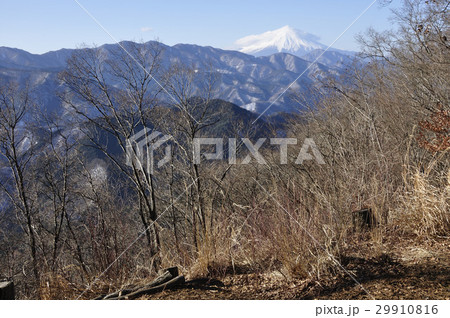 倉岳山山頂より望む富士山 29910816