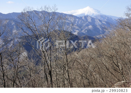 倉岳山山頂より望む富士山 倉岳山山頂より望む富士山 29910823