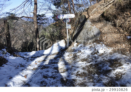 秋山山系 穴路峠 29910826