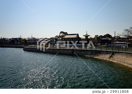 春の久米田池 29911808