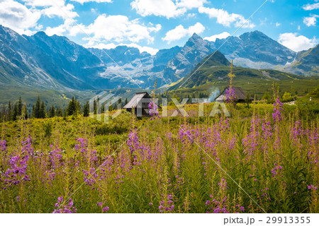 Hala Gasienicowa, Tatra mountains Zakopane Poland 29913355