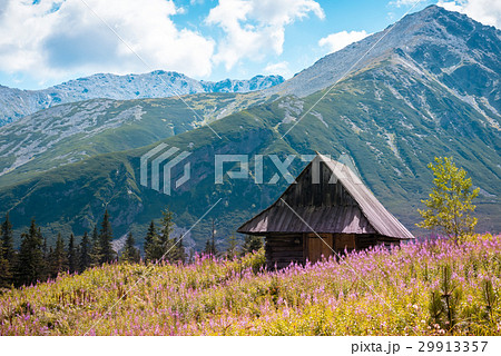 Hala Gasienicowa, Tatra mountains Zakopane Poland 29913357