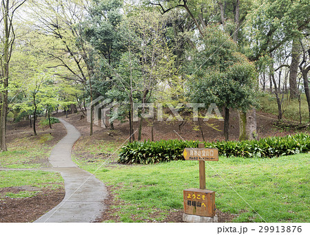 都立戸山公園の箱根山登山口（東京都新宿区） 29913876