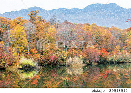 風景 鎌池の秋 風景 鎌池の秋 29913912