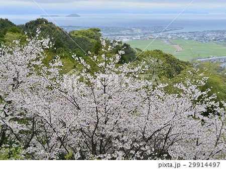 東光山公園からの出水市の眺め 29914497
