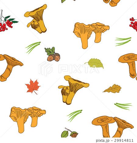 Mushroom hand drawn sketch Seamless Pattern Vector 29914811