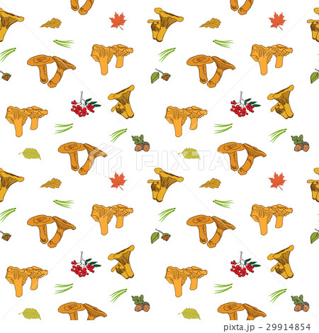 Mushroom hand drawn sketch Seamless Pattern Vector Mushroom hand drawn sketch Seamless Pattern Vector 29914854