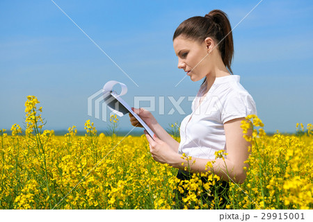 Business woman in field outdoor with cloudy sky 29915001