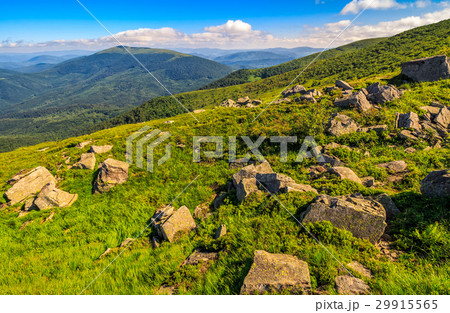 meadow with boulders in Carpathian mountains meadow with boulders in Carpathian mountains 29915565