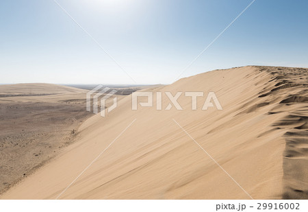 Sand Dune, Qatar Sand Dune, Qatar 29916002