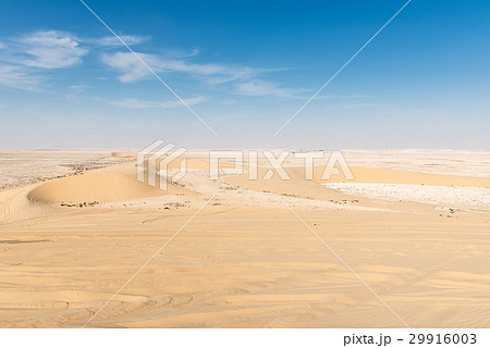 Sand Dune, Qatar Sand Dune, Qatar 29916003