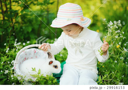 cute little girl with white rabbit cute little girl with white rabbit 29916153