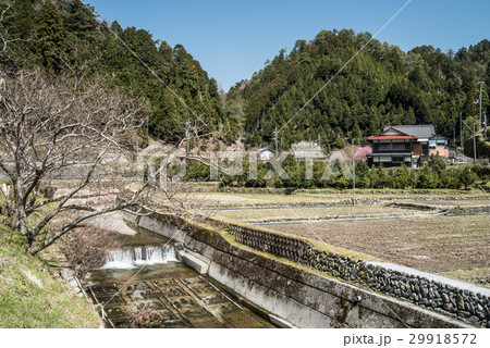 山里の春 29918572